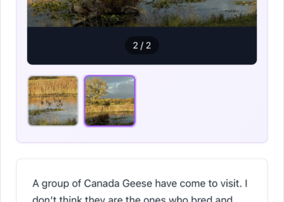 Bottom half of Journal entry